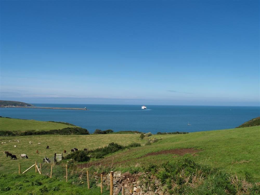 Cable Cottage Fishguard Buitenkant foto